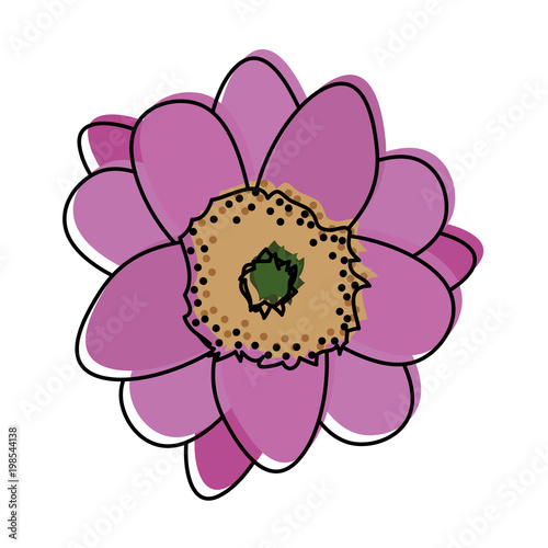 moved color cute flowers with cute nature petals