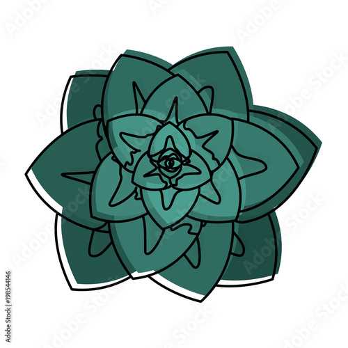 moved color cute flower with beautiful nature petals