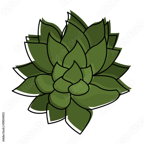 moved color nice flower with cute petals design