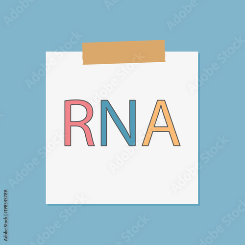 RNA (Ribonucleic Acid) written in notebook paper- vector illustration