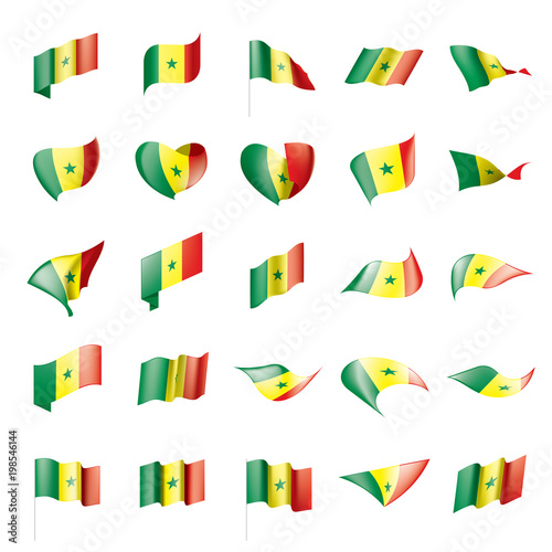 Senegal flag  vector illustration