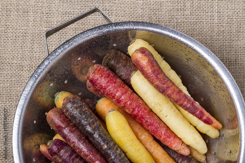 Multi-colored carrots photo