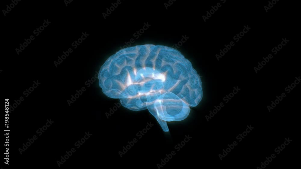 DIGITAL BRAIN HOLOGRAM LOOP