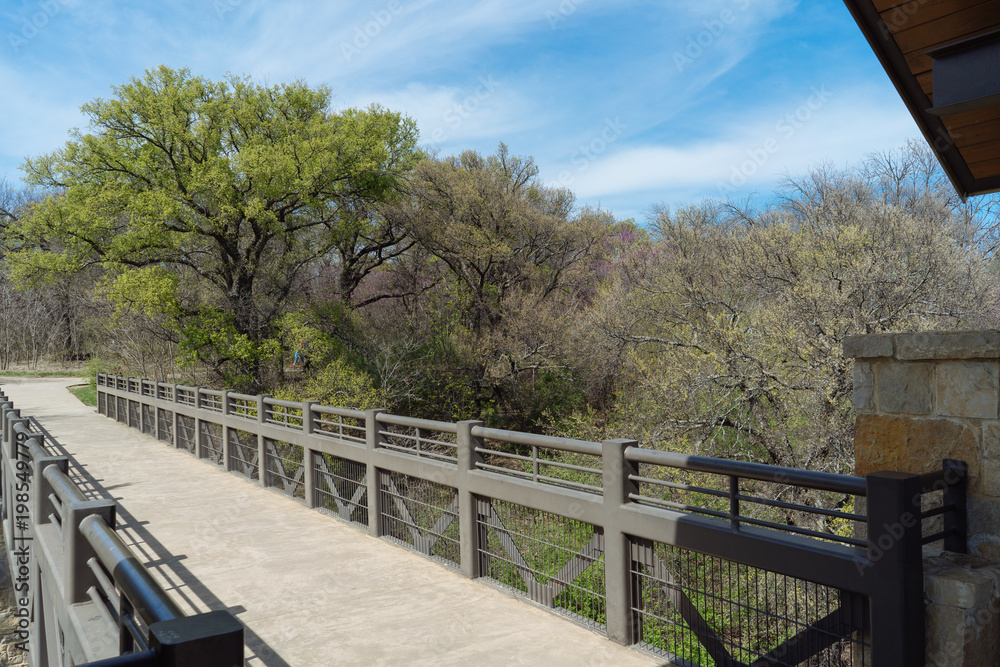 The bridge from the observation tower on a background of trees in the city park on a sunny spring day in Dallas