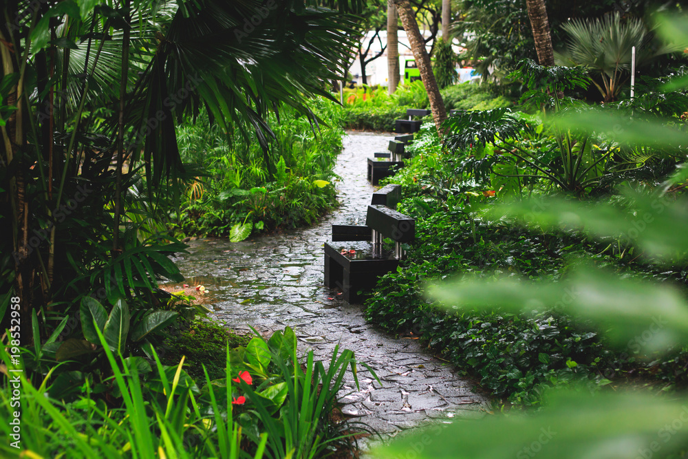 Fototapeta premium Singapurska ulica z zielenią i roślinami