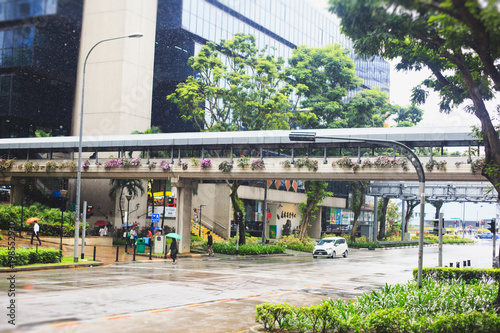 Canvas Print Singapore street with green trees and plants