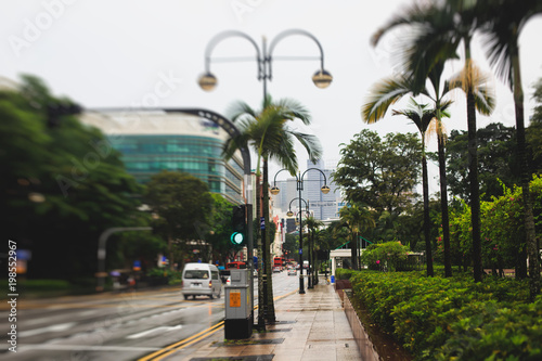 Photography Singapore street with green trees and plants