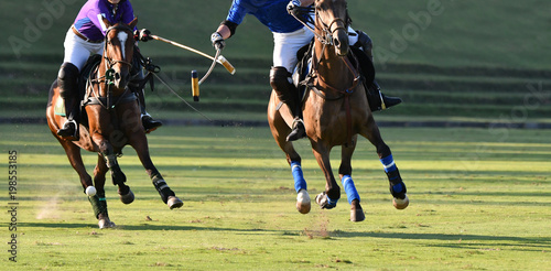 Horse Polo Player Battle