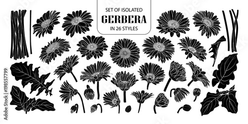 Set of isolated silhouette gerbera in 26 styles.