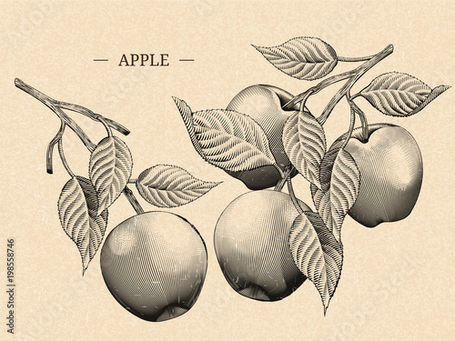 Engraving apples with leaves
