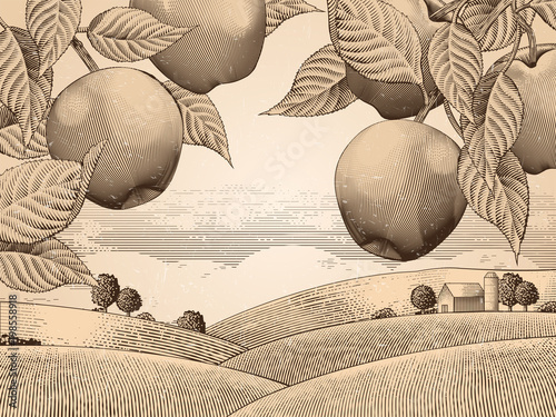 Retro apple orchard