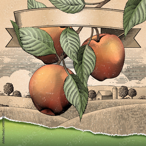 Retro apple orchard