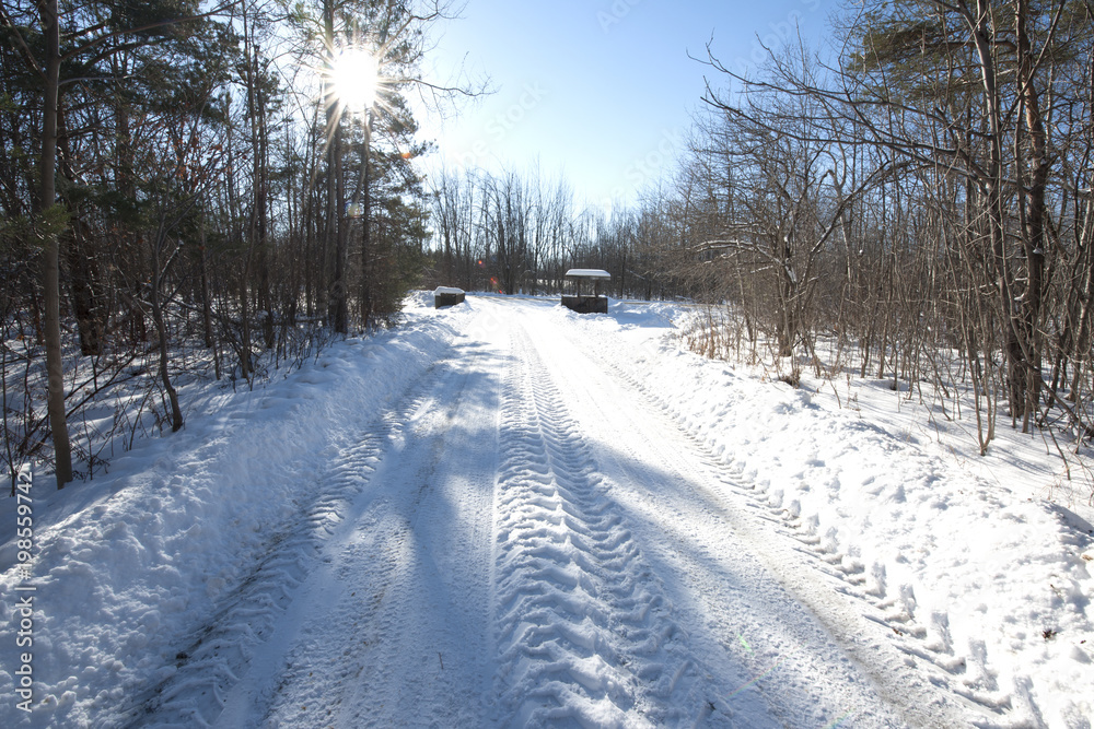 Road Less Taken Road Less Taken
