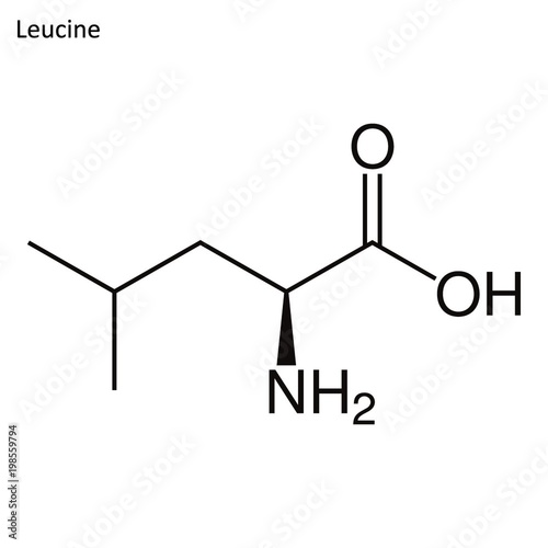 Skeletal formula of Leucine