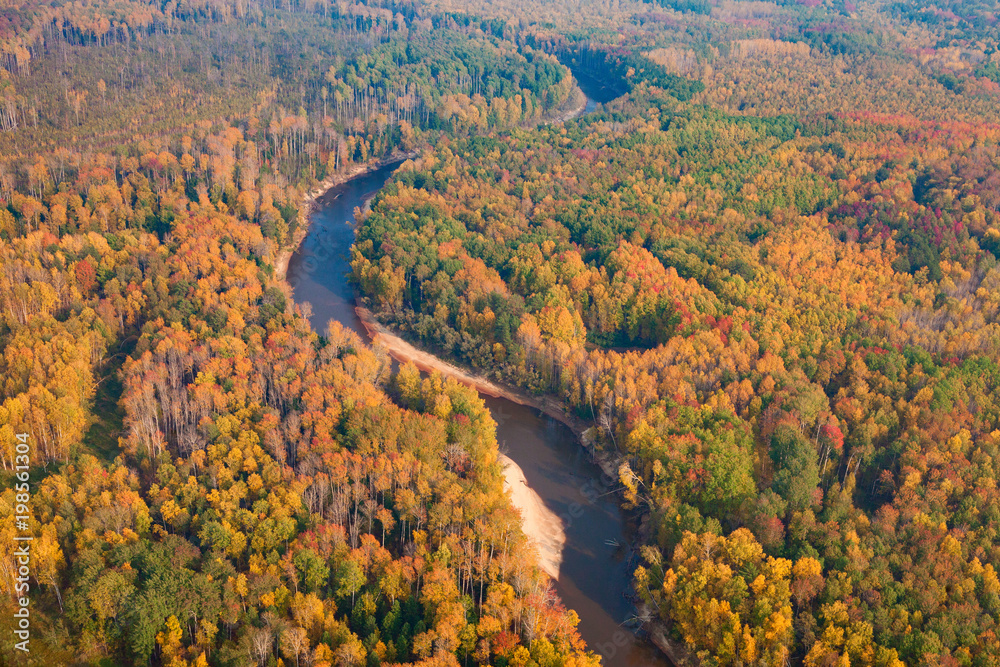 Top view perspective of autumn forest and river