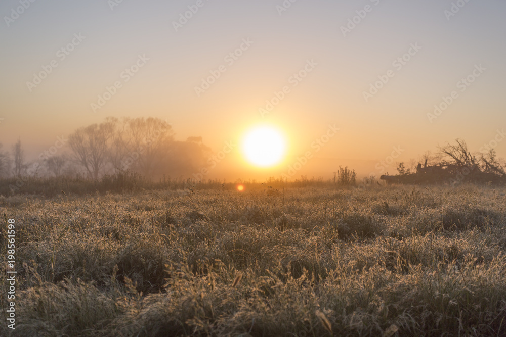 Foggy Fields at Sunrise, Australian Countryside