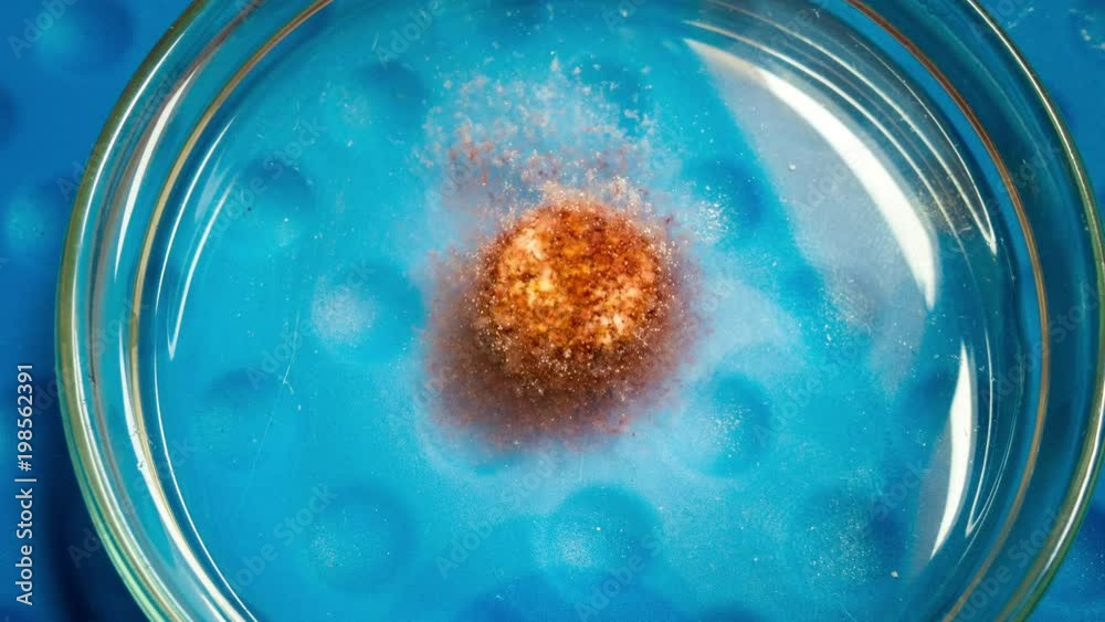 Dissolution of tablets with vitamins in the water