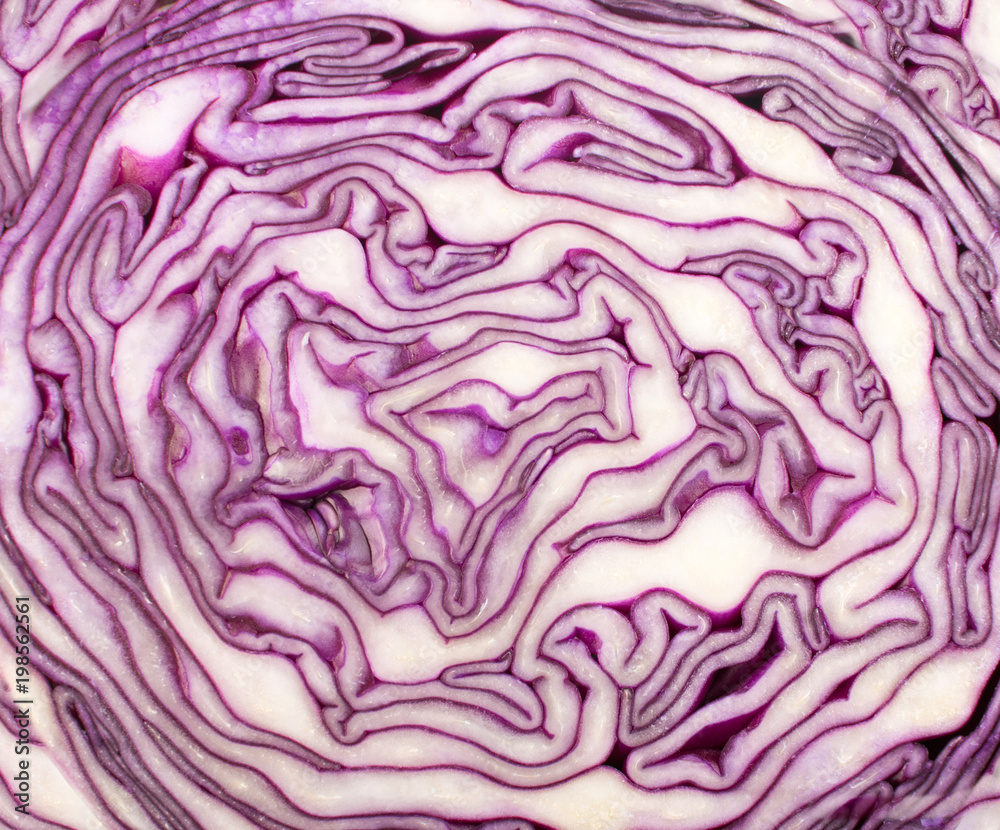 Red Cabbage Texture