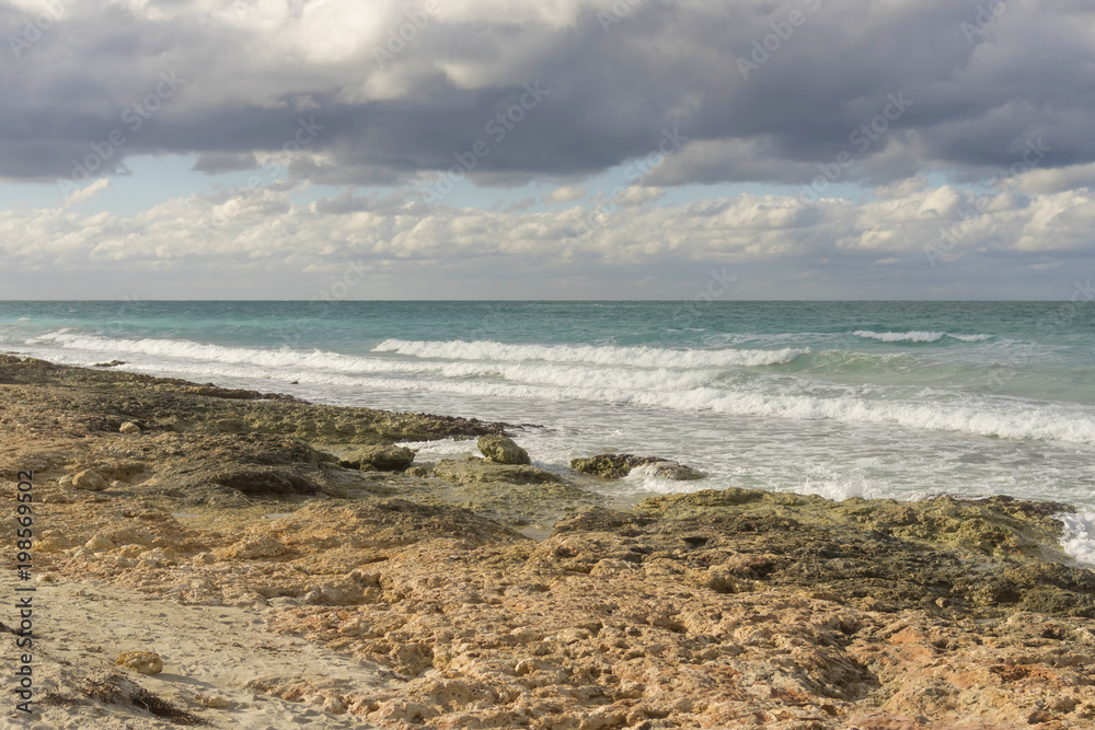 Landscape marine, ocean or sea with large waves