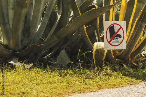 Warning sign, do not walk on grass photo