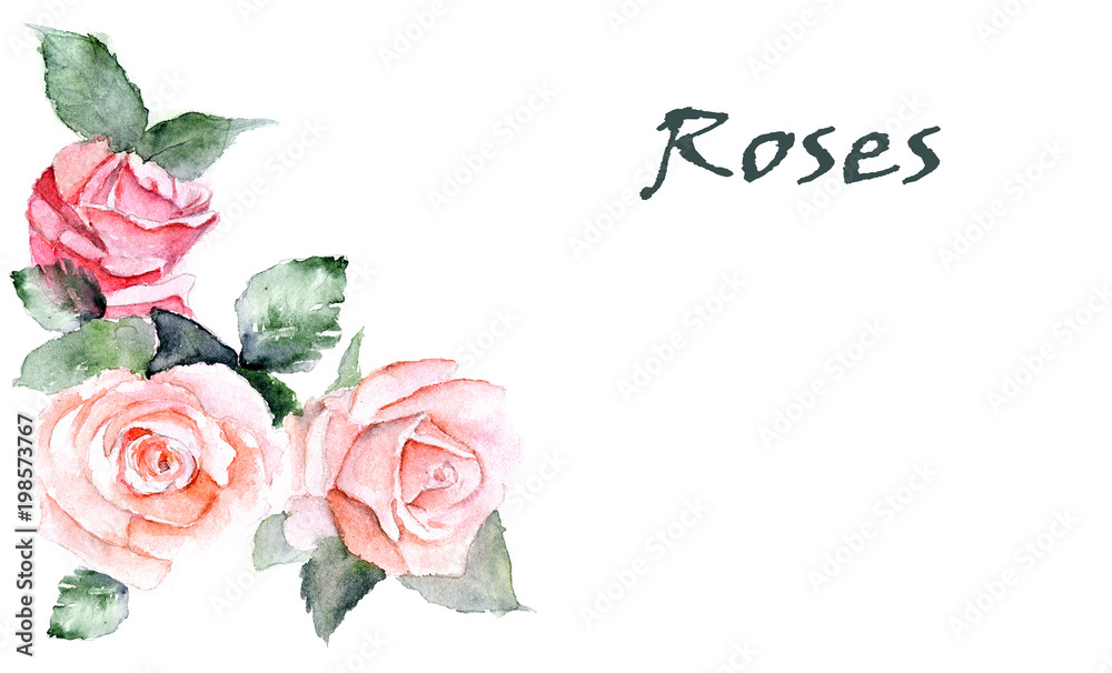  Watercolor roses illustration. Card template with roses.