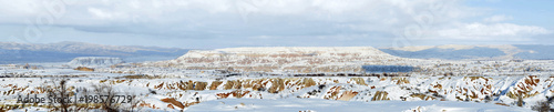 Panaromic view in winter