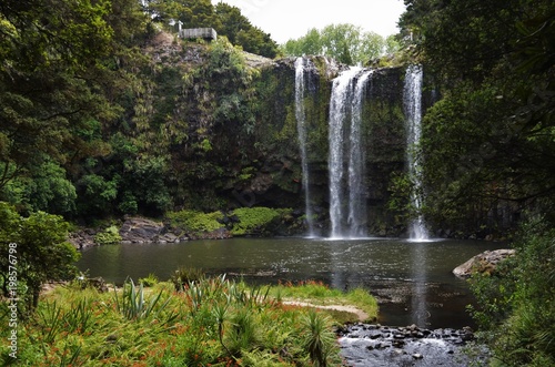 magical waterfall scenery in vibrant nature near Whangarei