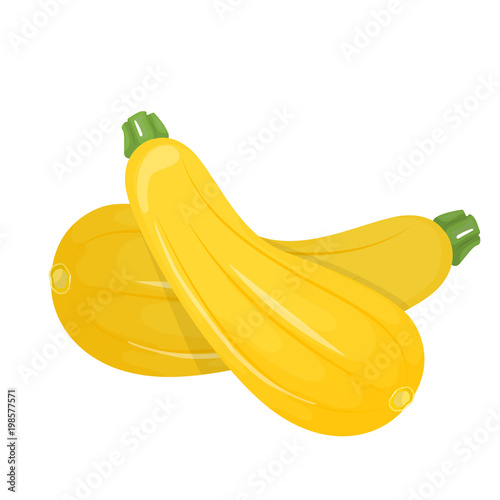 Vegetable Marrow Courgette Or Zucchini Isolated On A White Background.