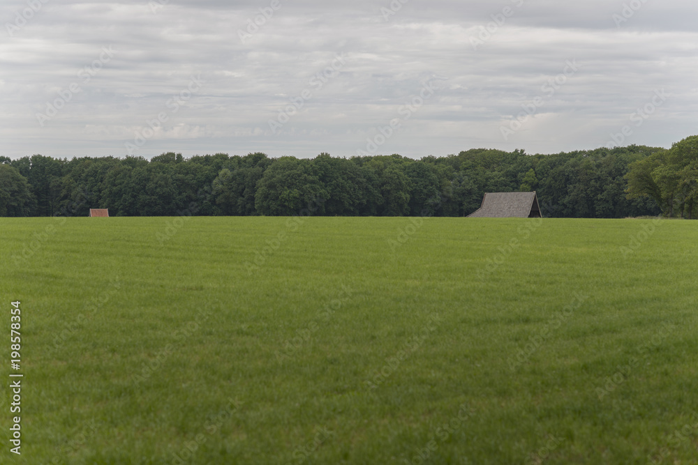 Characteristic half-open farmlands in the Netherlands. Characteristic half-open farmlands in the Netherlands.