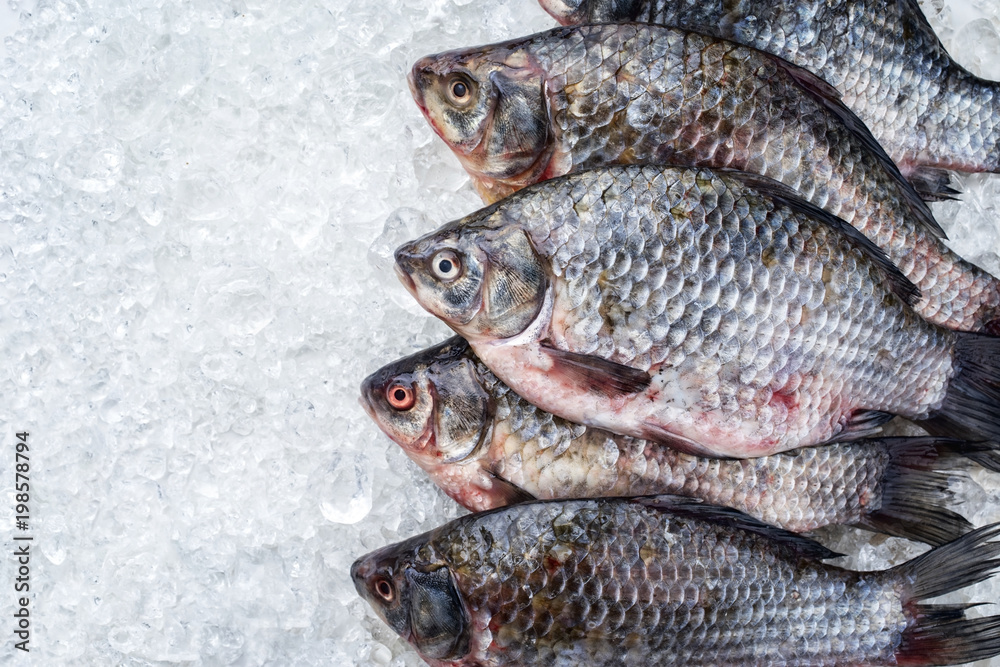 Raw fresh crucian carp on ice offered as top view Raw fresh crucian carp on ice offered as top view