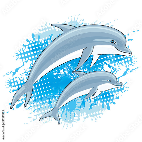 Dolphins and water splash on a white background.