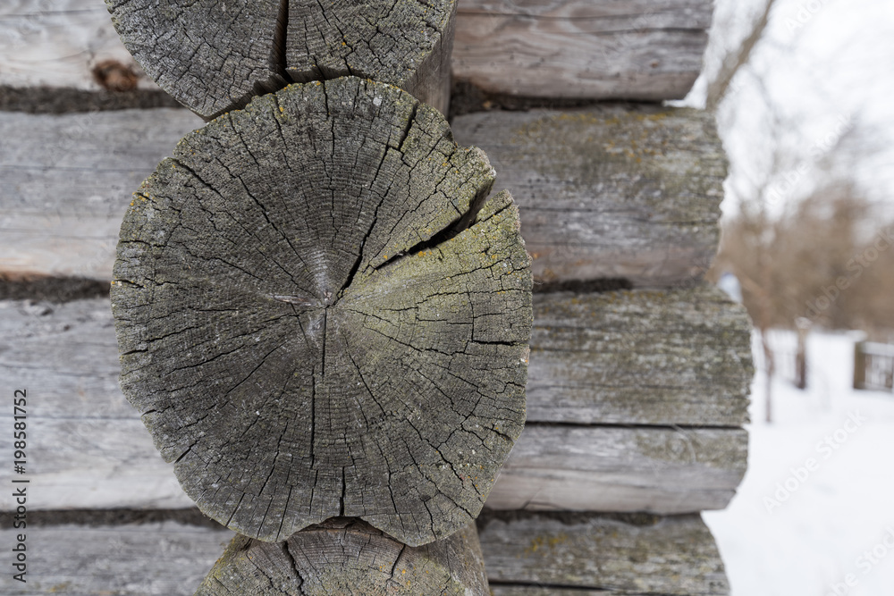 old woood texture wooden background wall wood wall old woood texture wooden background wall wood wall
