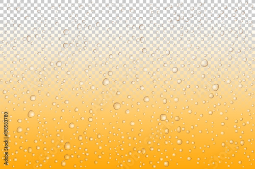 Beer drops on glass, Vector Water drops on glass. Rain drops on transparent background