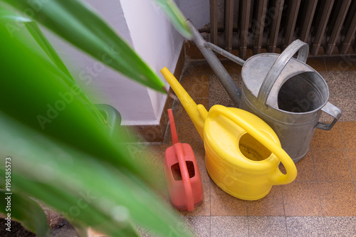 Collection of water cans in plastic and metal with plant and vintage radiator