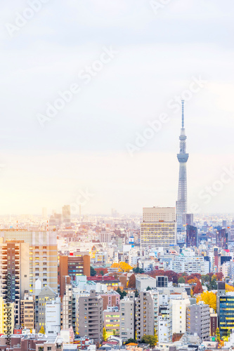 Asia business concept for real estate and corporate construction - panoramic modern city skyline aerial sunset view of bunkyo under fantasy pink sky and cloud, tokyo, Japan