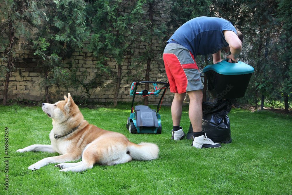 Man,dog and lawnmower