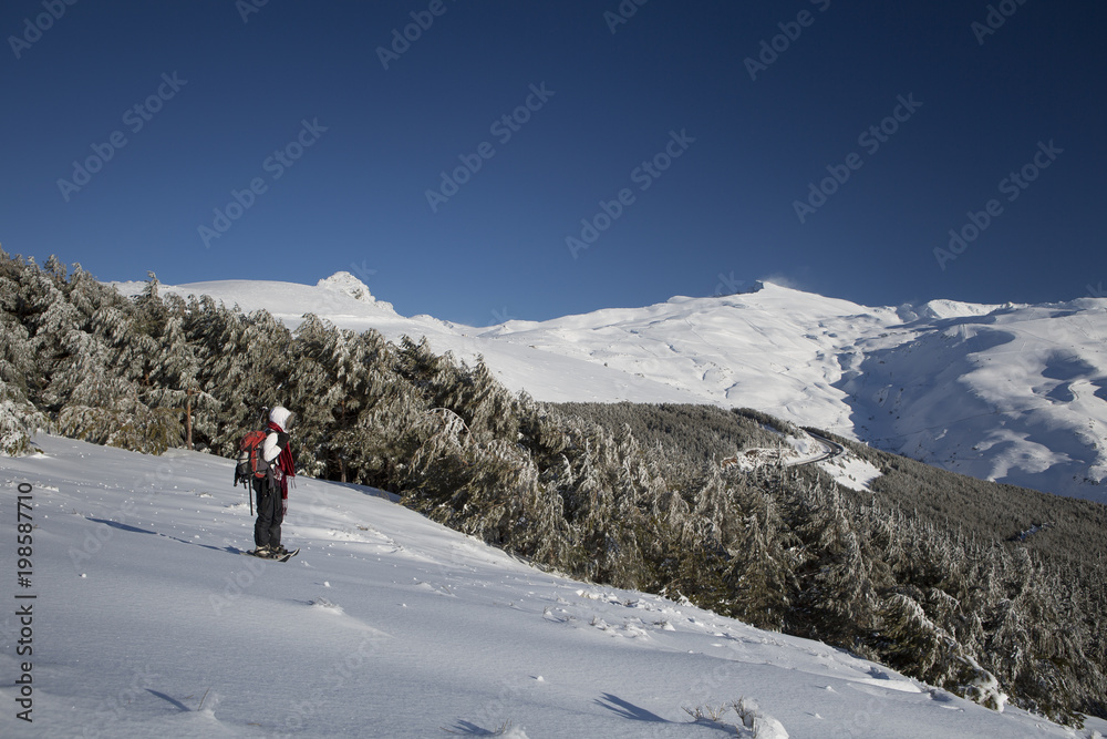 Mujer joven disffrutando de la nieve en la montaña