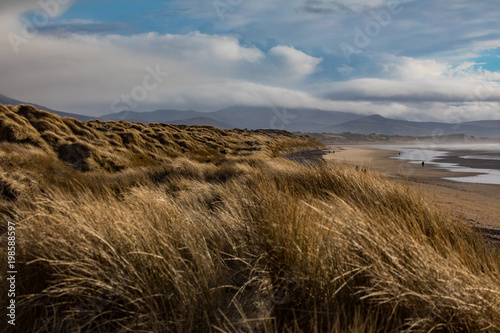 Fototapeta Naklejka Na Ścianę i Meble -  Scenic view of grass covered sand dunes on Banna beach in county Kerry, Ireland