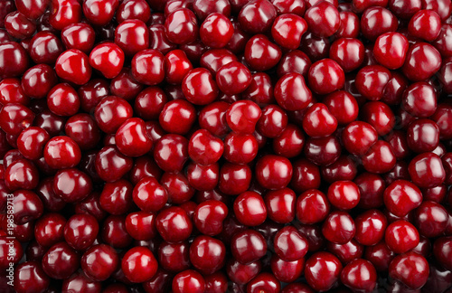 Cherry background. Cherries.