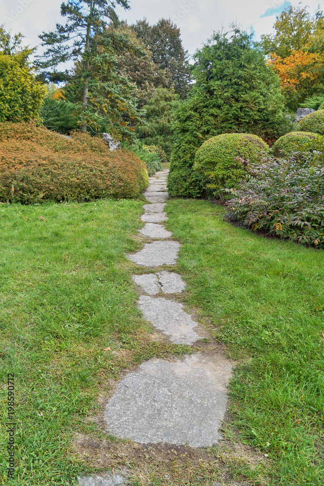 Stone path leading towards green bushes in trees in a botanic garden