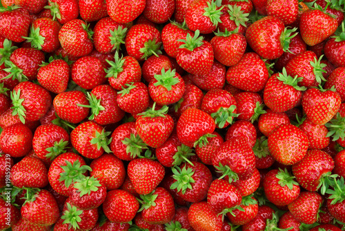 Canvastavla Strawberries background. Strawberry. Food background.