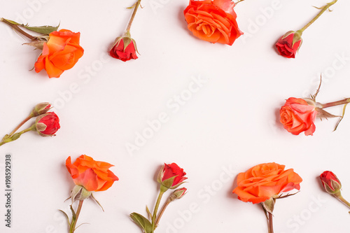 Composition of roses