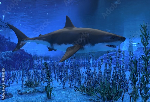 Great white shark swimming underwater 3d illustration