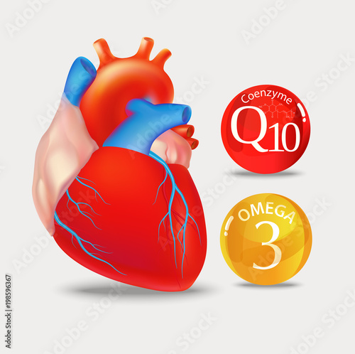 Coenzyme q10 and Omega 3. Heart