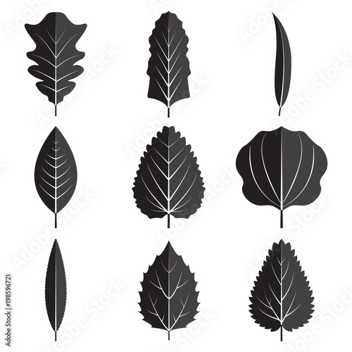 Black leaves set icon vector design illustration. Free royalty images.