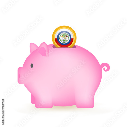 Belize Flag Coin Piggy Bank Savings