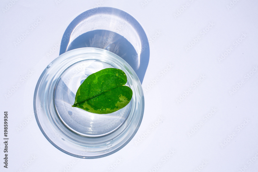 Heart leaf shape in glass of water  isolated on white background