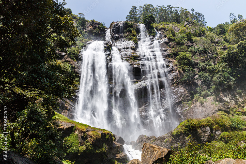 beautiful scenic view of green trees and waterfall, sri lanka, nuwara eliya