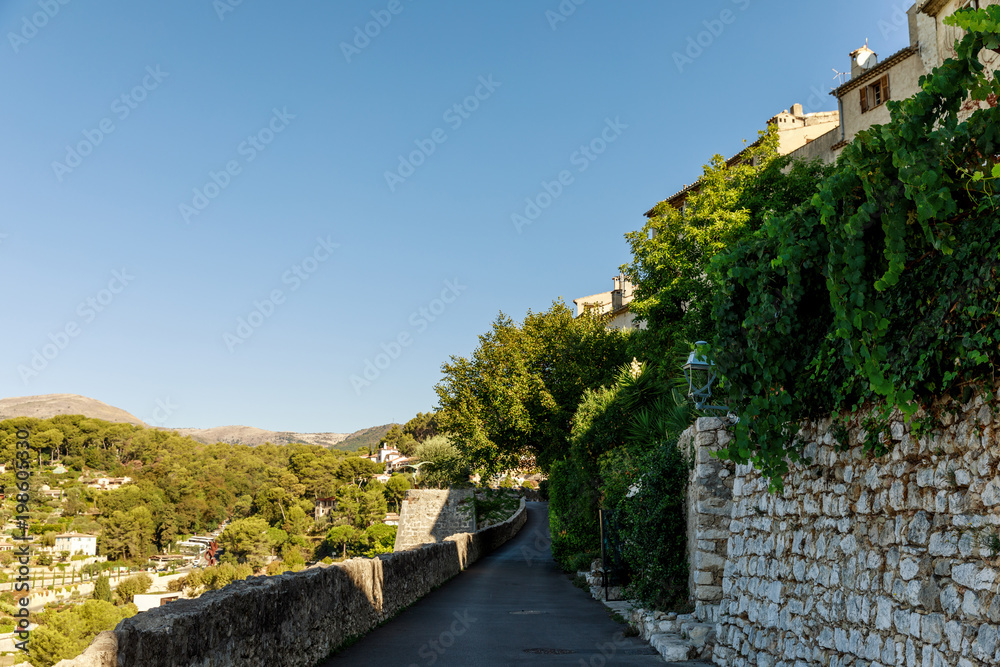 hill road with sides covered with vine at old european town, Antibes, France