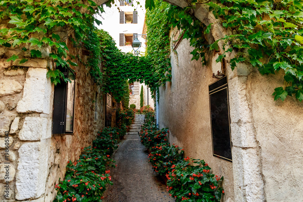 Fototapeta premium narrow street of old european town decorated with flower bushes and vine, Antibes, France